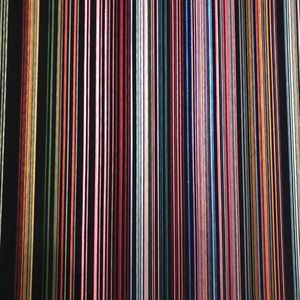 Meet your Posher, Teddy